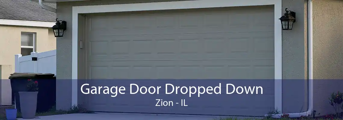 Garage Door Dropped Down Zion - IL