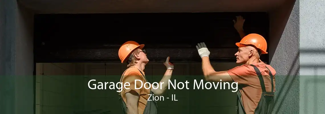 Garage Door Not Moving Zion - IL