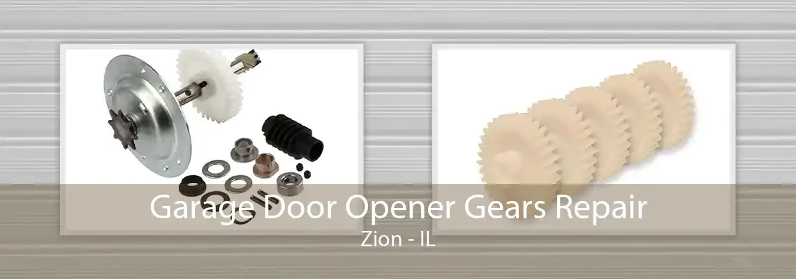 Garage Door Opener Gears Repair Zion - IL