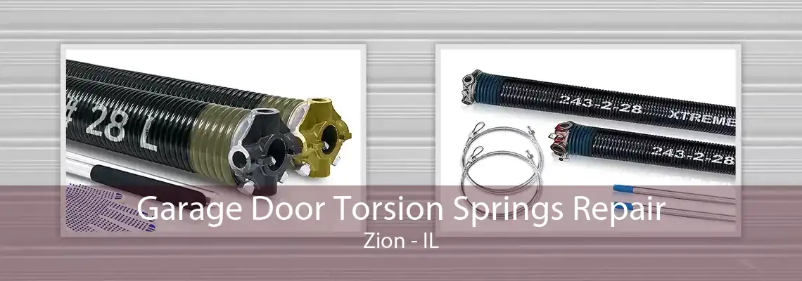 Garage Door Torsion Springs Repair Zion - IL