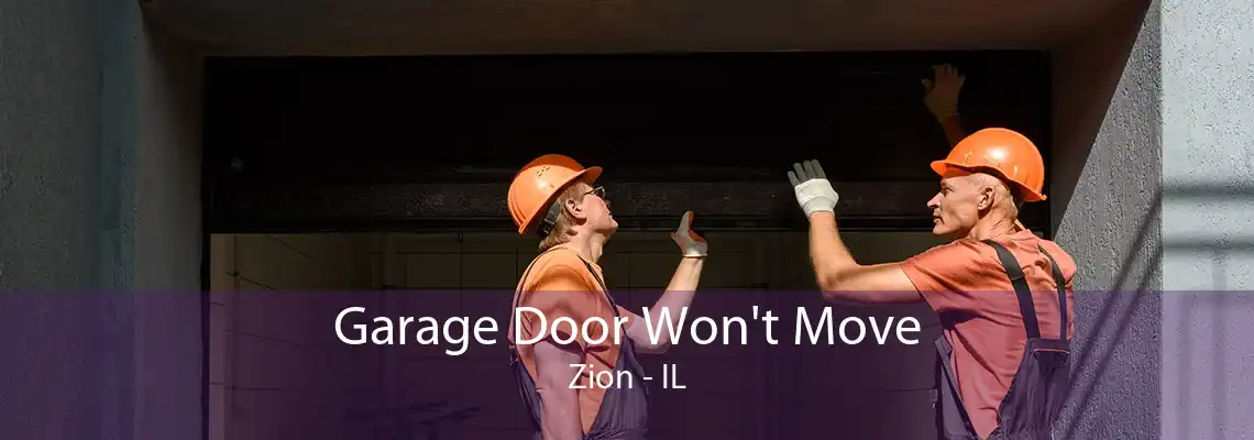 Garage Door Won't Move Zion - IL